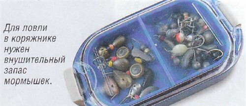 ����� ������ �� �������� ������