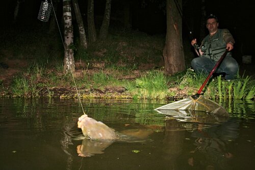 ���� ������ �� �����