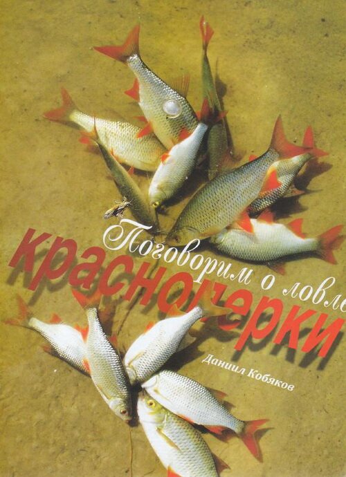 ����� �����������