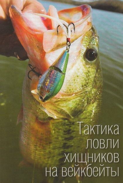 ����� ������� �� ���������