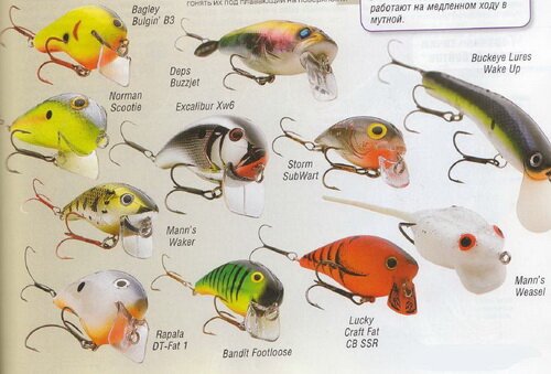 ����� ������� �� ���������