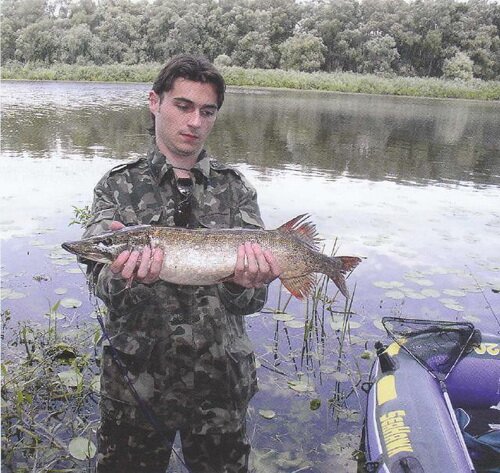 �������� ������ ������