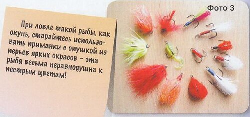 �������� ������ ������