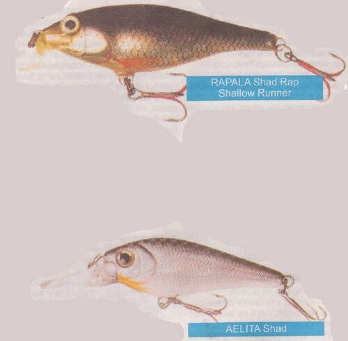 ����� �������� �� �����