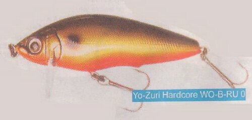 ����� �������� �� �����