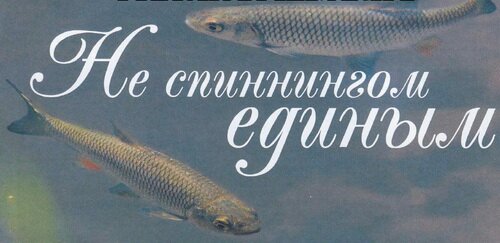 ����� ������ �������