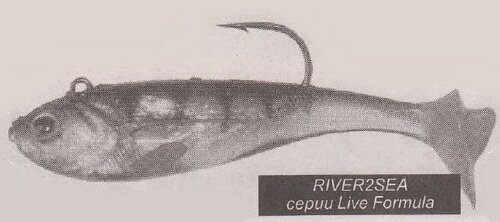 ����������� ��������