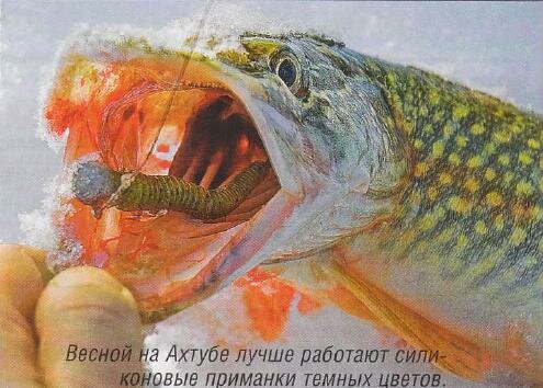 �������� �������� ��� ����� ���� ������