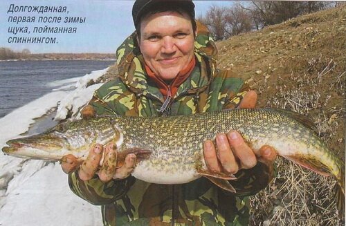 �������� �������� ��� ����� ���� ������