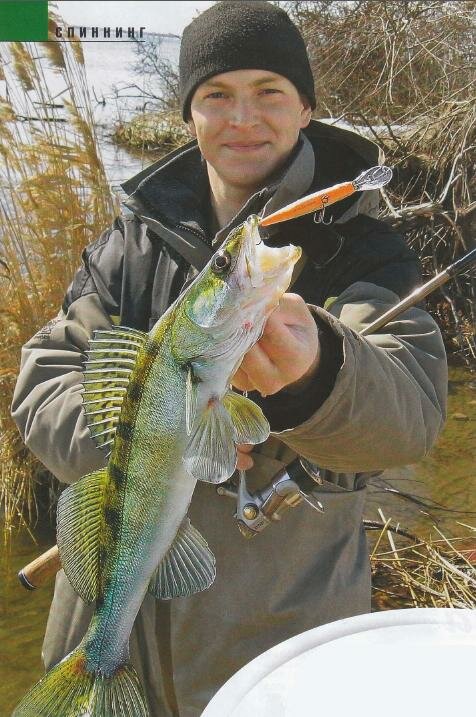 �������� ��������