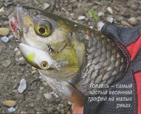 �������� ��������