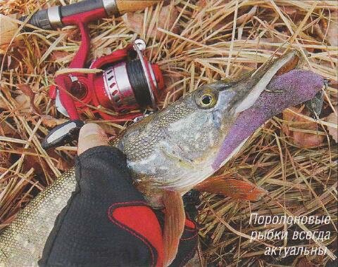 �������� ��������