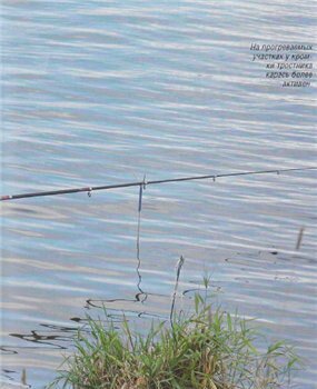 �������� ����� ������ �� �������